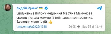 Андрей Ермак, скриншот из Telegram