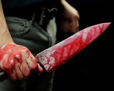 Харьковчанин зарубил владельца квартиры из-за аренды (видео)