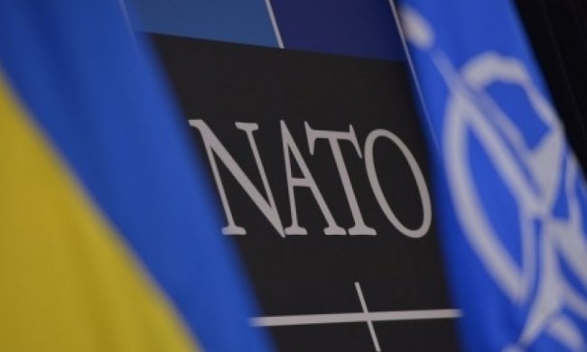 Украина не готова к НАТО – дипломат
