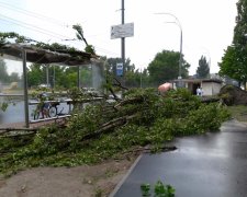 Жертвами стихии стали сразу трое украинцев