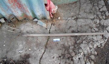 Львівський солдат заколов себе вилами у відпустці
