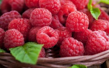 5 серпня: чим запам'ятається цей день
