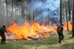 Франковцы, выбросьте спички: спасатели испугали экстренным предупреждением