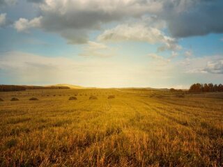 Оновлення нормативної грошової оцінки земель