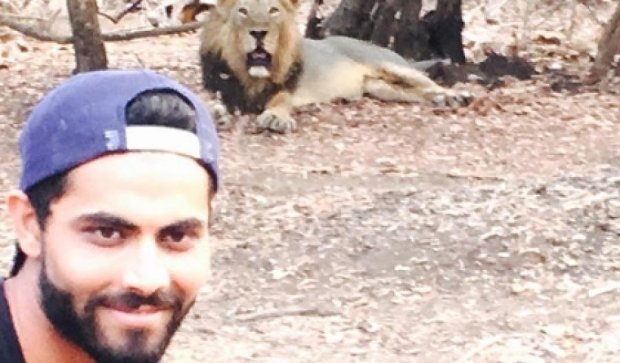 Индийский спортсмен поплатился за селфи со львом (ФОТО)