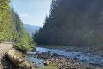 Карпати, кадр з відео, зображення ілюстративне: YouTube