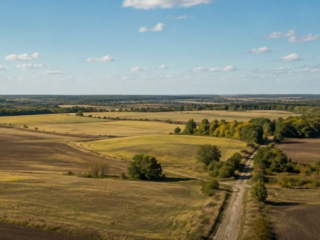 Земельна ділянка, поле, оренда землі