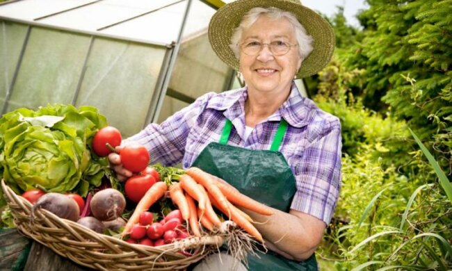 Експерти сказали, коли українцям чекати на дешеві овочі