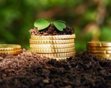  Кризис в Украине: наименьшие потери у агросектора и IТ-компаний