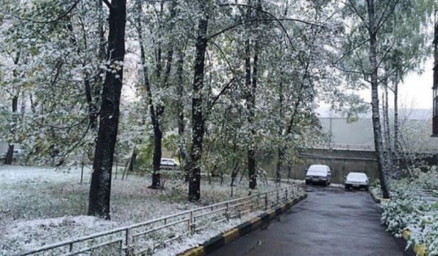 В Москве бушует снегопад (фото)  