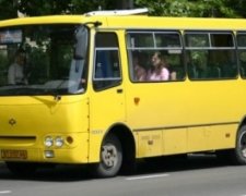 Мережу зворушила історія про Луцьку маршрутку