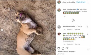 Публікація Олени-Христини Лебідь, скріншот: Instagram