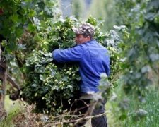 Польща відкриє нові вакансії для українців