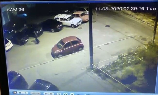 підпал Tesla Андрія Богдана, скріншот з відео