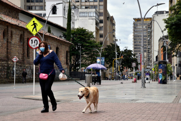 Жінка з собакою, фото: getty Images