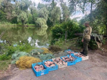 незаконный лов рыбы