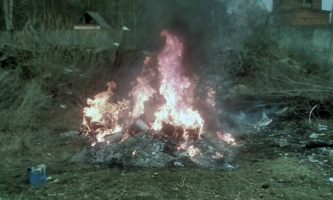 На Житомирщині спалили 60 кг наркотиків (фото, відео)