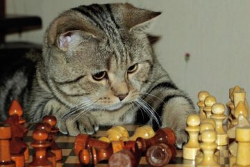 20 июля: какой сегодня праздник