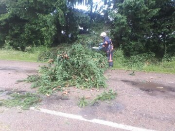 Последствия непогоды, фото ГСЧС