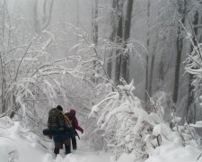 Неймовірна краса засніжених Карпат (фото)