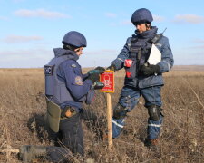 Розмінування під Петрівським, фото: dsns.gov.ua