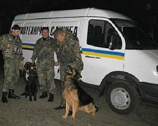 Мінування луганських дільниць спростували вибухотехніки (фото)