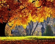 Українцям пообіцяли теплий вікенд