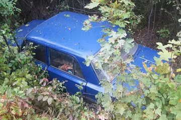Крадій викрав авто і заснув в ньому від втоми