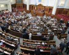 Образили нещасного: депутат-ябедник став посміховиськом у соцмережі