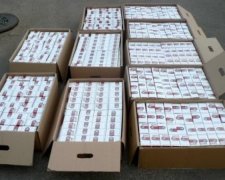Правоохоронці вилучили 674 тис. пачок контрабандних цигарок