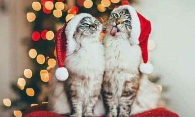 Новый год, фото: Pinterest