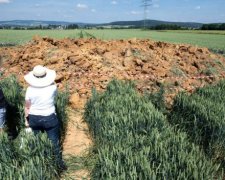 Гірше за метеорит: посеред поля вибухнула бомба з Другої світової, фото