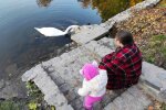 Осень. Фото: znaj.ua