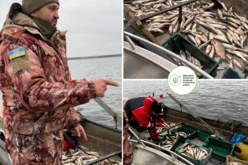 Держекоінспекція