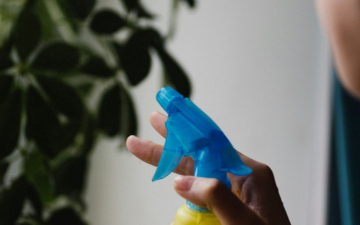 Пыль на цветах, изображение из свободных источников