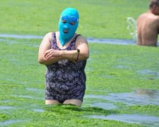 Вода в Днепре ужаснула экологов