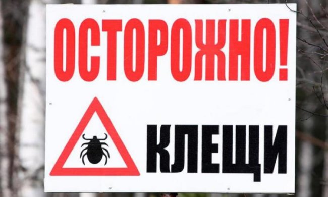 Как защититься от клещей 