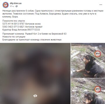 Скріншот допису у фейсбук