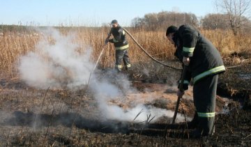 Біля Києва торфовища горять у 16 місцях 