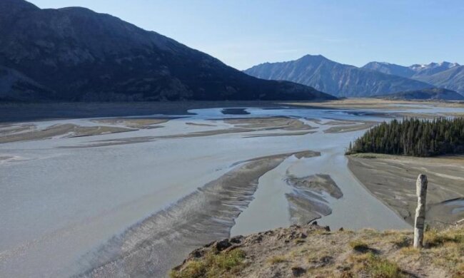 Такого ще не бачили! Екологів спантеличила несподівана аномалія