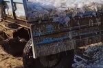 У Кирилівці медуз почали вивозити вантажівками: їх більше, ніж туристів