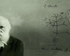 "Человек и обезьяна": японцы вернули в Украину эволюцию