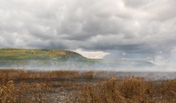 На Полтавщині продовжують горіти торфовища