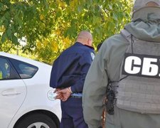 На Миколаївщині майор міліції очолив групу наркоторгівців (фото, відео)