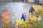 На Закарпатті річки перетворилися на зливні бачки, катастрофа на порозі: сморід і бруд
