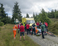 Две девочки потерялись в холодном лесу на 44 часа: пили воду с листьев и прижимались друг у другу