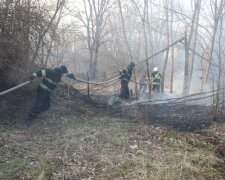 Чорнобиль у вогні, фото ДСНС