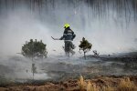 Масштабный лесной пожар в Вышгородском районе