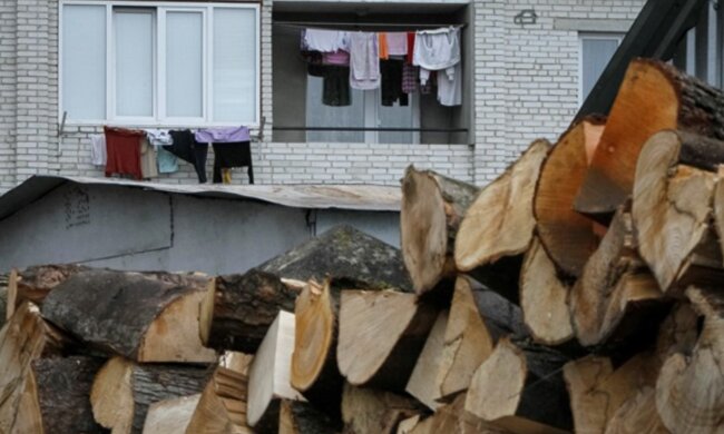 Дрова, скріншот: YouTube