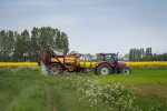 Фермерам пропонують збільшити врожаї за допомогою супутника: що треба робити